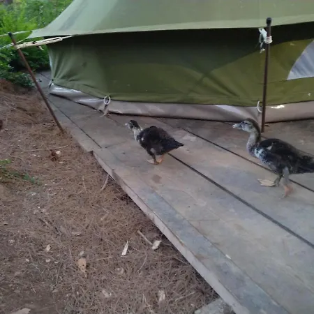 Zelt 2 Camp West بيت للعطل Ražanac