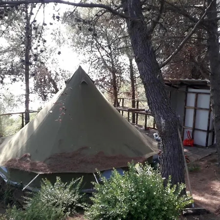 Zelt 2 Camp West